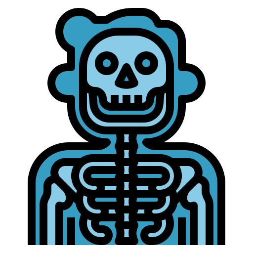 X ray